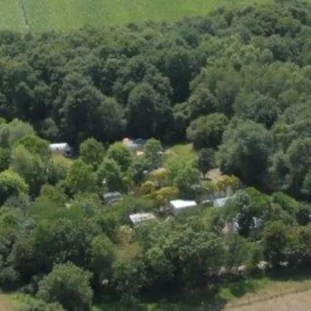 Mobil-home Confortable Avec Terrasse Pour 4 Personnes - Api-1-52-1361 * Commequiers