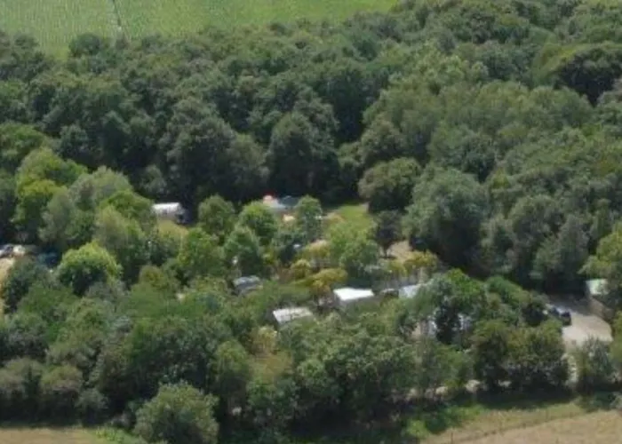 Mobil-home Confortable Avec Terrasse Pour 4 Personnes - Api-1-52-1361 * Commequiers